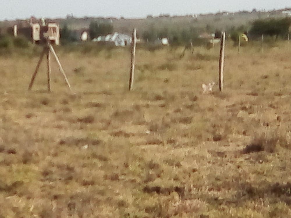 Plots for Sale - Kitengela Image 11