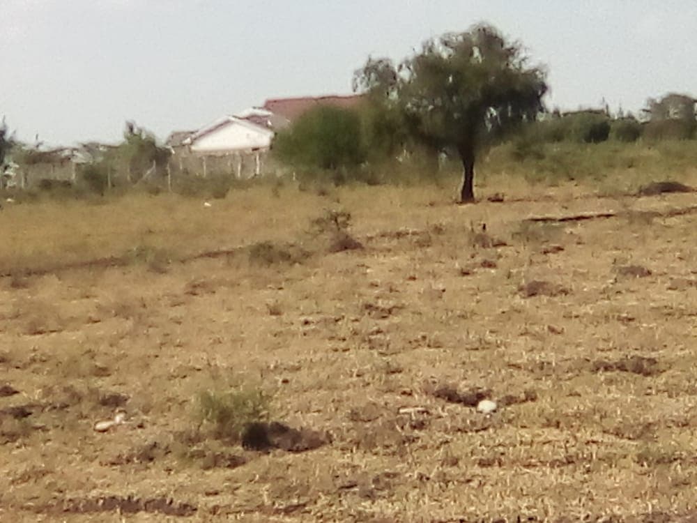 Plots for Sale - Kitengela Image 12