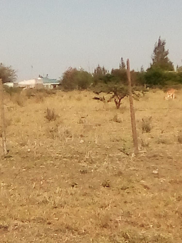 Plots for Sale - Kitengela Image 8