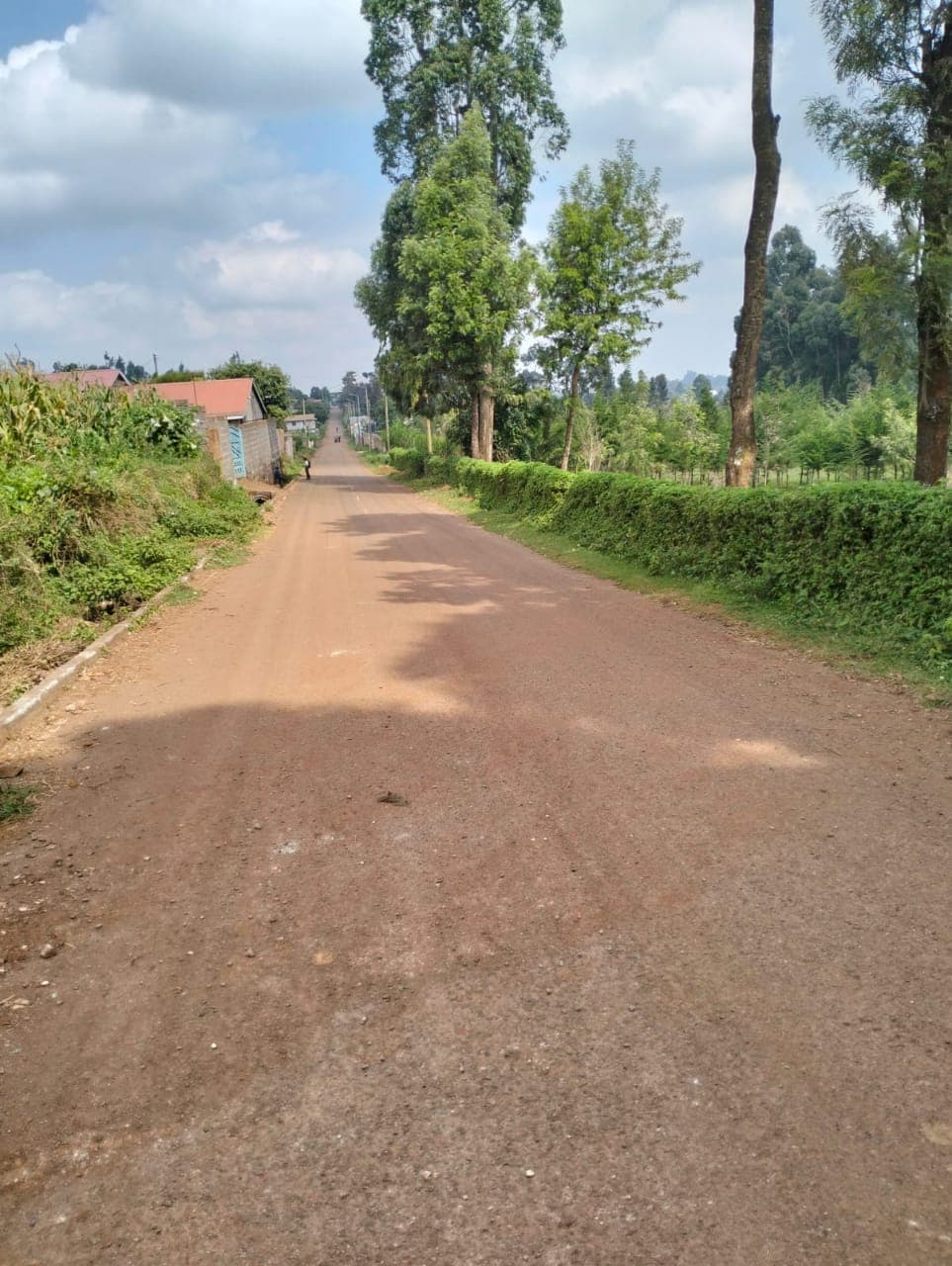 Plots for Sale - Limuru Image 3