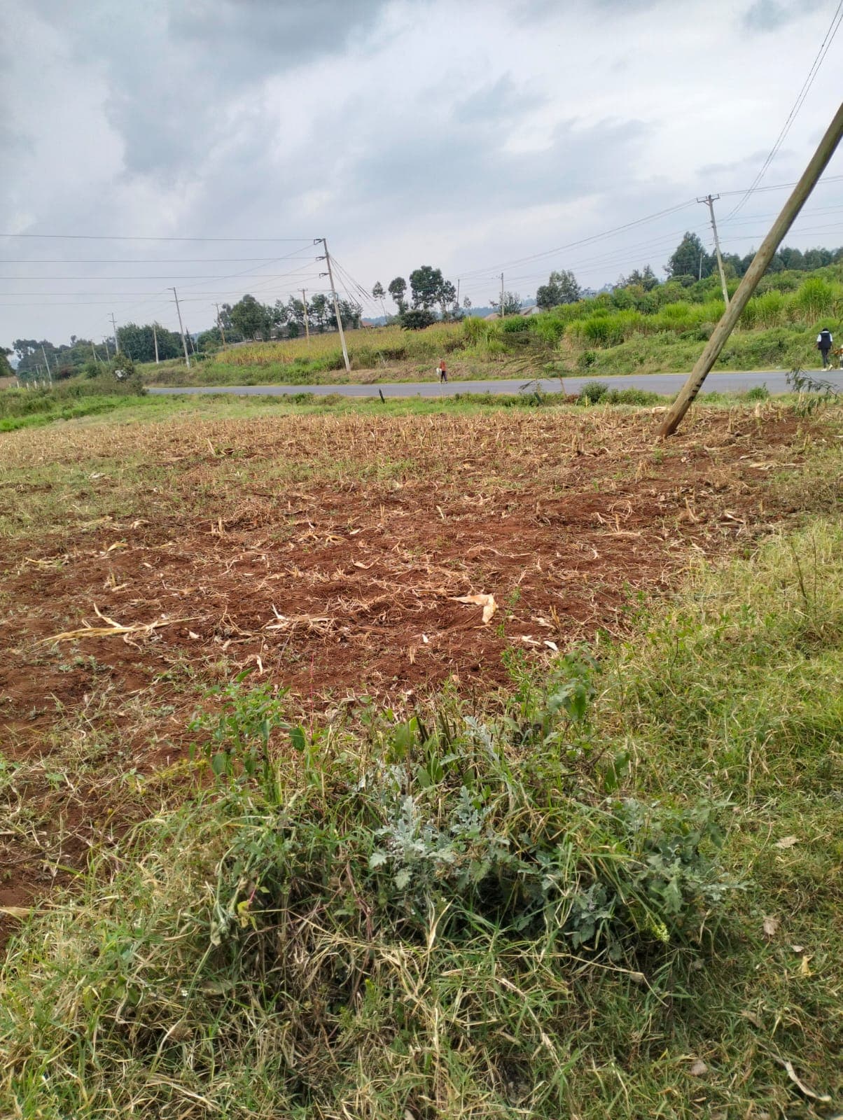 Plots for Sale - Limuru Image 4