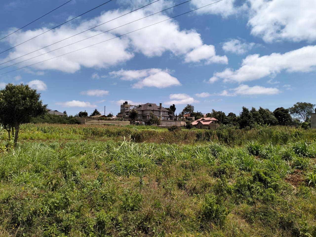 Plots for Sale - Limuru Image 6