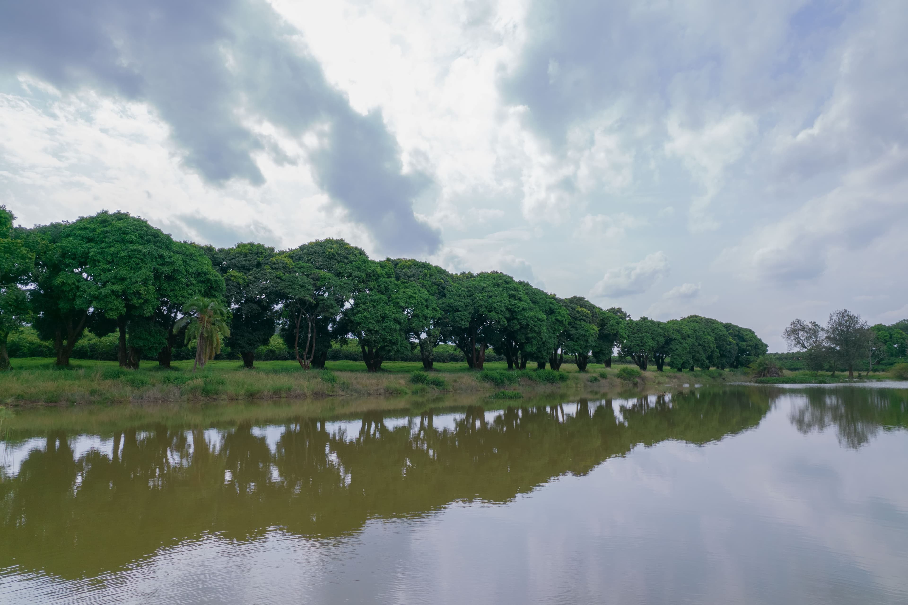 Plots for Sale - Juja Image 2