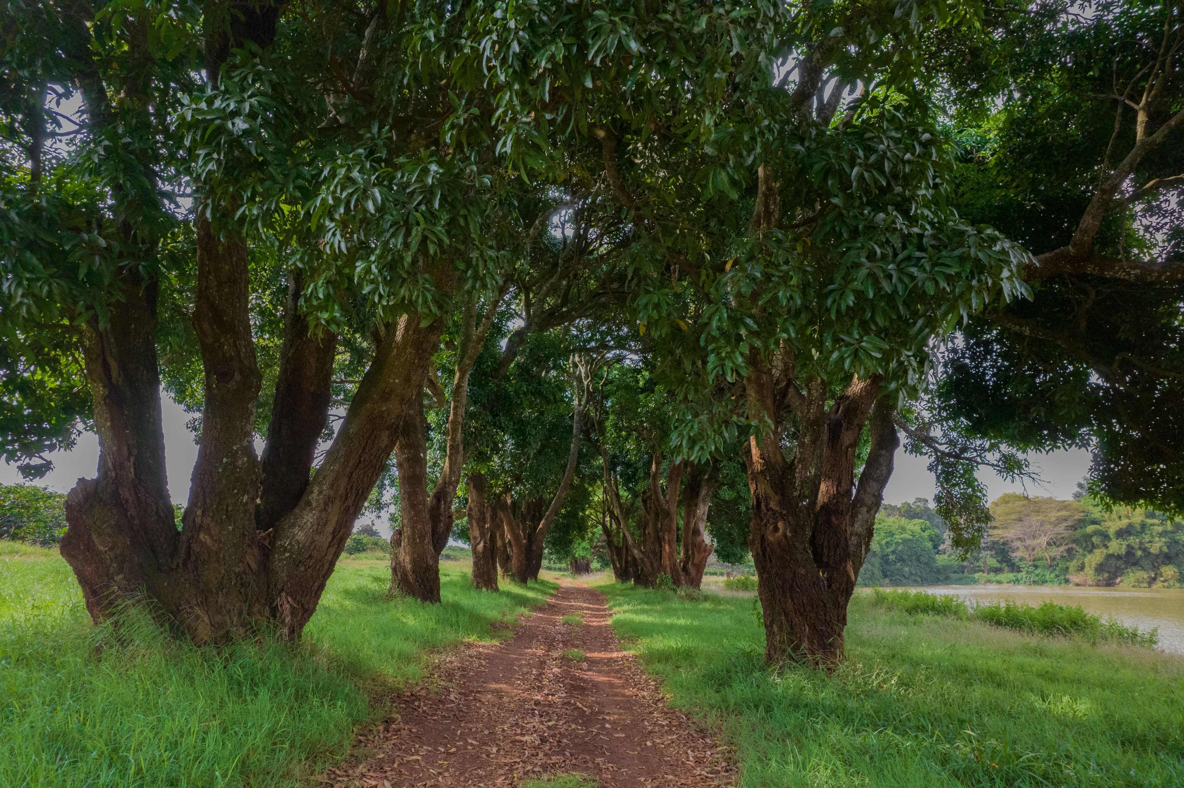 Plots for Sale - Juja Image 3