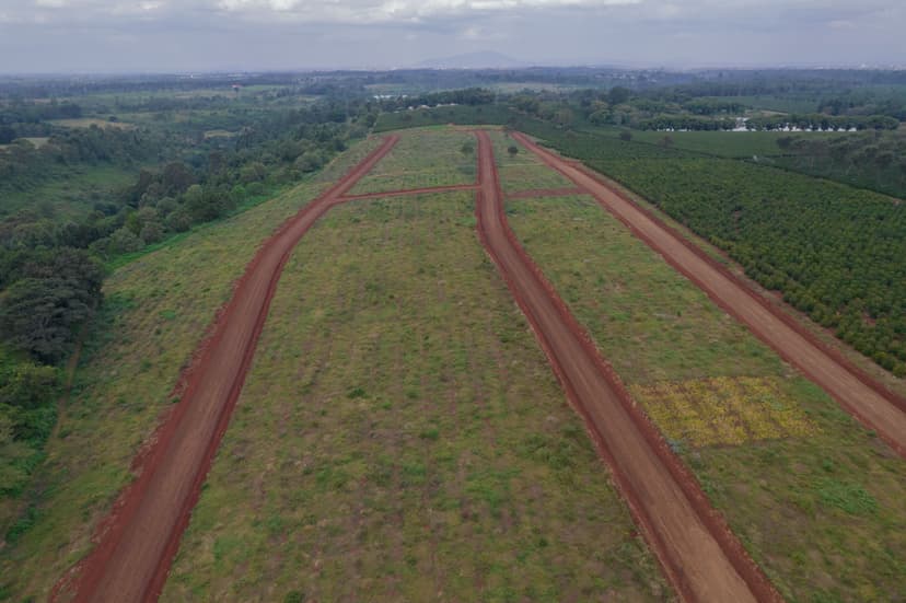 Land and Property for Sale in Kenya: A 2025 Market Guide